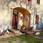 Il Castellare 4*
