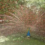 Il Castellare 4* Gualdo Tadino
