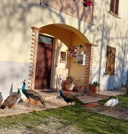 Il Castellare 4*