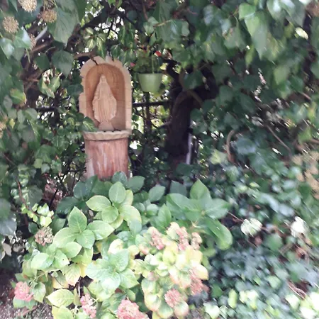 招待所 Il Castellare 4*