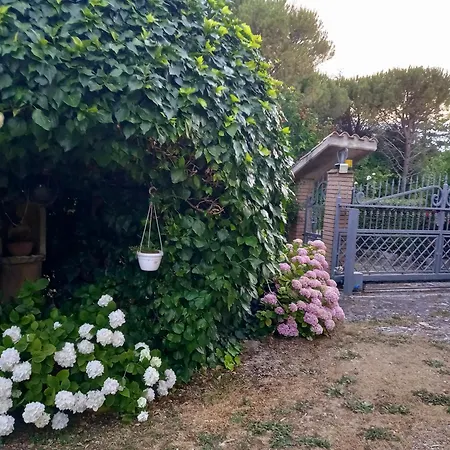 Il Castellare