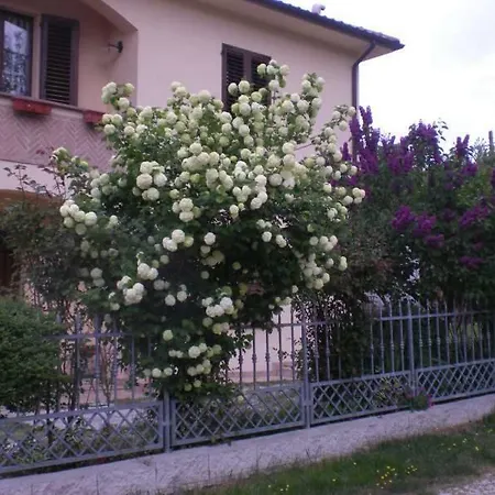 Il Castellare 4*