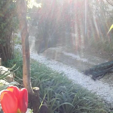 Il Castellare 4* Gualdo Tadino