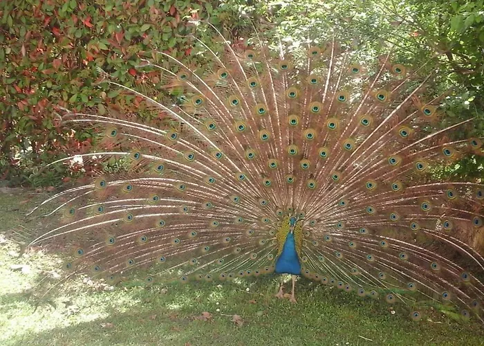 Il Castellare 4* Gualdo Tadino