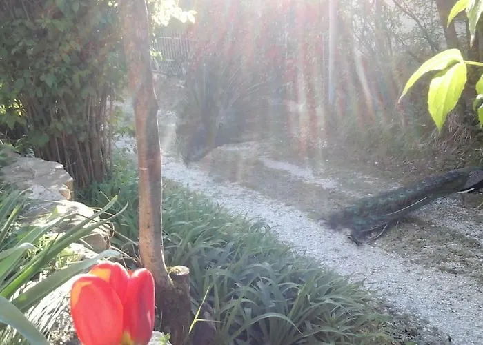 Il Castellare 4* Gualdo Tadino